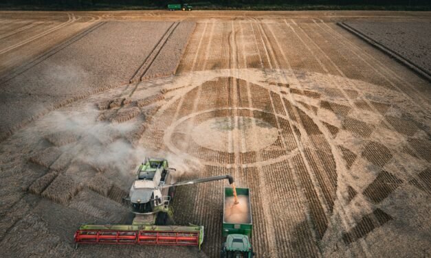 2023 Crop Circles: Kitt’s Lane Harvest