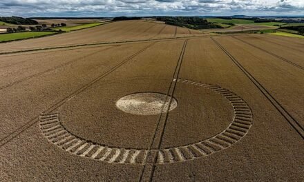 2023 Circles: Fair Mile, Wexcombe, Wiltshire