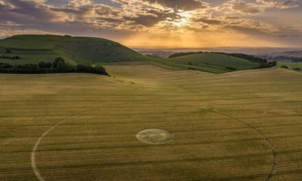 2023 Circles: Cley Hill, Warminster, Wiltshire
