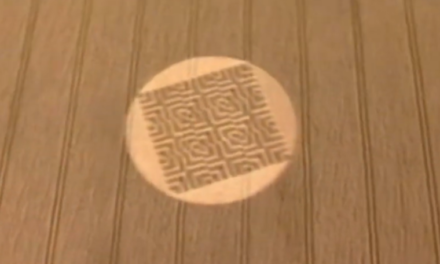 Video: Paranormal? Crop Circles (2005)