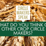Circle Makers Speak #8: What Do You Make Of Other Crop Circle Makers?