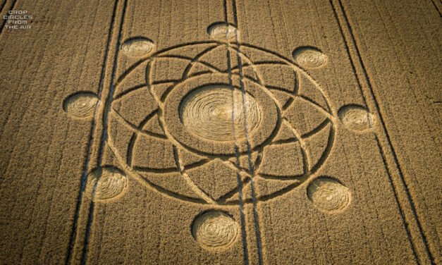 2020 Circles: Norton Plantation, Norton Bavant, Wiltshire