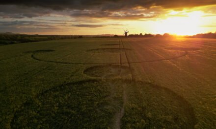 2024 Circles: Wilton Windmill Groundshots