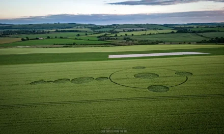 2024 Circles: Wilton Windmill, Wilton; Wiltshire