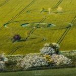 2025 Circles: The Gallops, Sutton Veny, Wiltshire