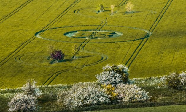 2025 Circles: The Gallops, Sutton Veny, Wiltshire