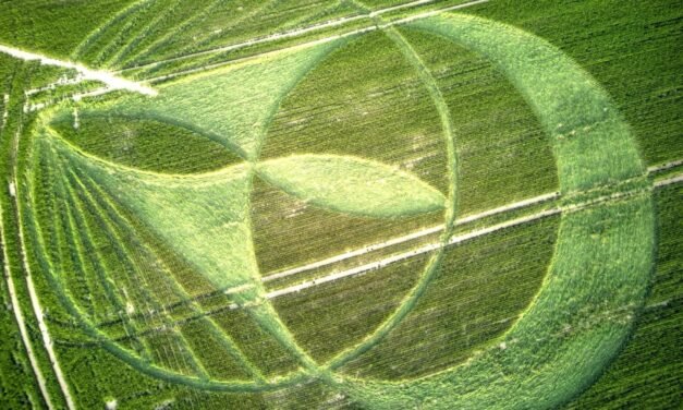 2025 Circles: Culliford Tree Barrow, Dorest Hoax