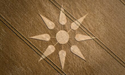 2025 Circles: Kingsdon, Somerset Hoax