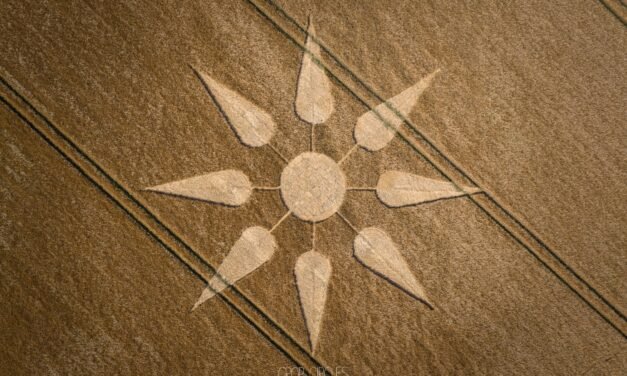 2025 Circles: Kingsdon, Somerset Hoax