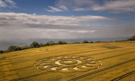 2025 Circles: Ware Manor Farm, nr Lyme Regis, Devon