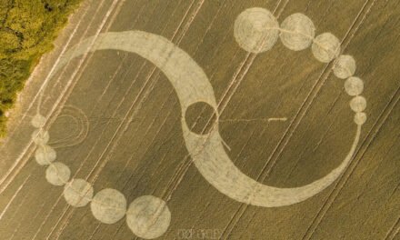 2025 Circles: Elliotts’s Shed, Nr Charlton, Wiltshire Hoax