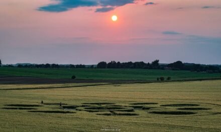 2025 Circles: Falkner’s Circle, nr Avebury, Wiltshire