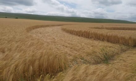 2025 Circles: Hackpen Hill Groundshots