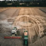 Dear Croppie: Why Do Crop Circles Leave Their Imprint Behind Immediately After They Are Harvested?