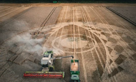 Dear Croppie: Why Do Crop Circles Leave Their Imprint Behind Immediately After They Are Harvested?