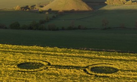 2026 Circles: Waden Hill, Avebury, Wiltshire