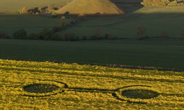 2026 Circles: Waden Hill, Avebury, Wiltshire