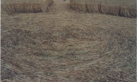 An Unrecorded Crop Circle?