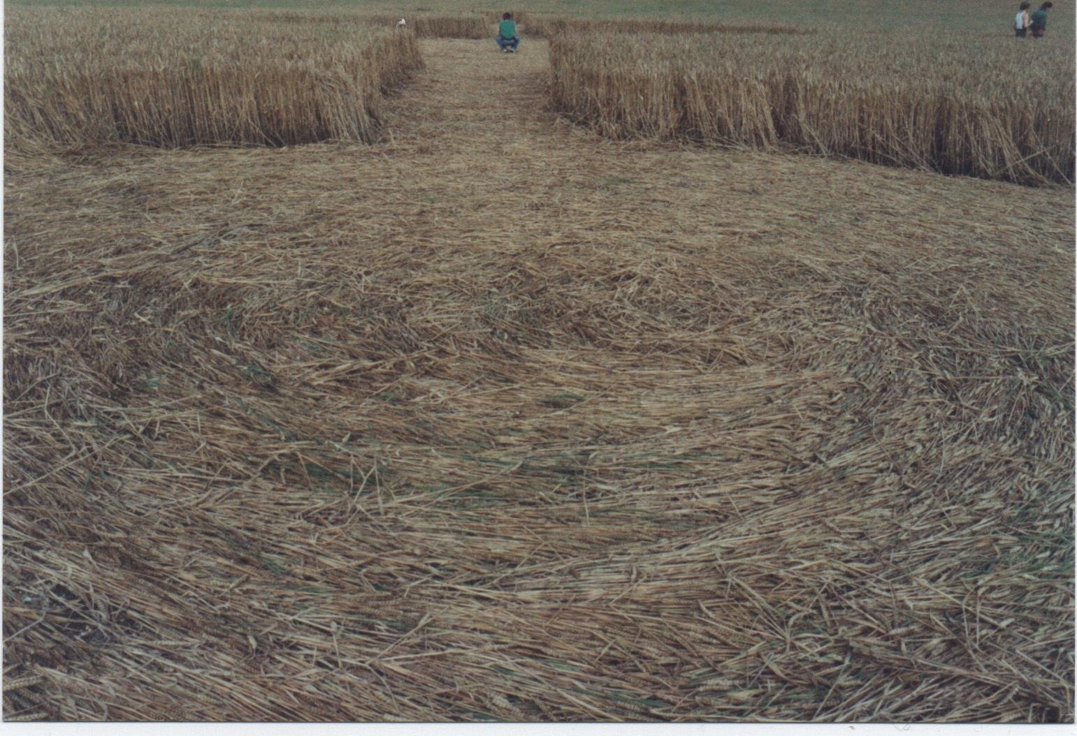CROP CIRCLE 1