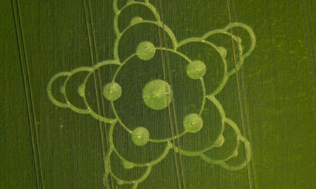 2026 Circles: Jacks Castle Plantation, Kingsettle Hill, Somerset