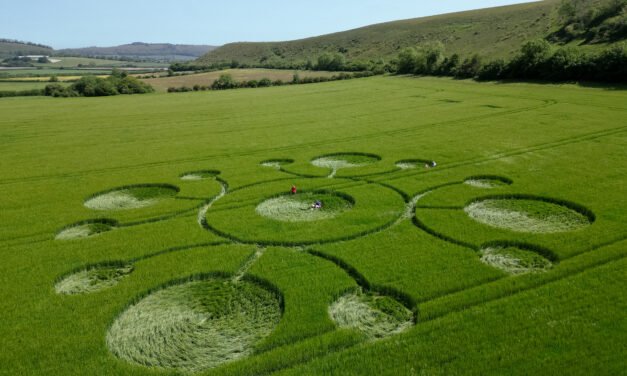 2026 Circles: White Sheet Down, Mere, Wiltshire
