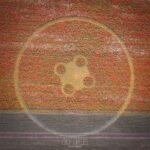 2026 Circles: Etchilhampton Hill, Wiltshire