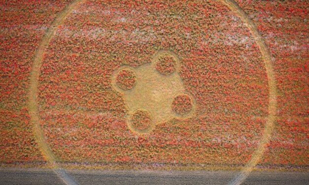 2026 Circles: Etchilhampton Hill, Wiltshire