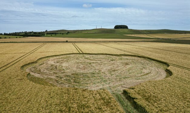 2026 Circles: Furze Knoll, nr Bishops Cannings, Wiltshire