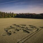 2026 Circles: First Broad Drive, Grovely Wood, Wiltshire