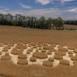 2026 Circles: Zeals Knoll, Mere, Wiltshire
