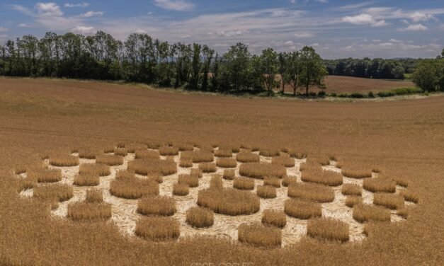2026 Circles: Zeals Knoll, Mere, Wiltshire