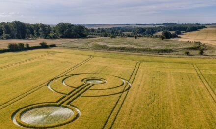 2026 Circles: Alfred’s Castle, Ashbury, Oxfordshire (1 and 2)