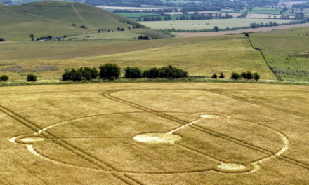 2026 Circles: Milk Hill, Alton Barnes, Wiltshire