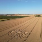 2026 Circles: Roundway Down, nr Devizes, Wiltshire