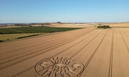2026 Circles: Roundway Down, nr Devizes, Wiltshire