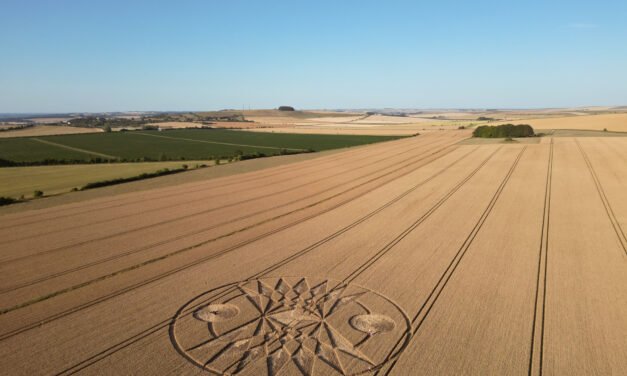 2026 Circles: Roundway Down, nr Devizes, Wiltshire