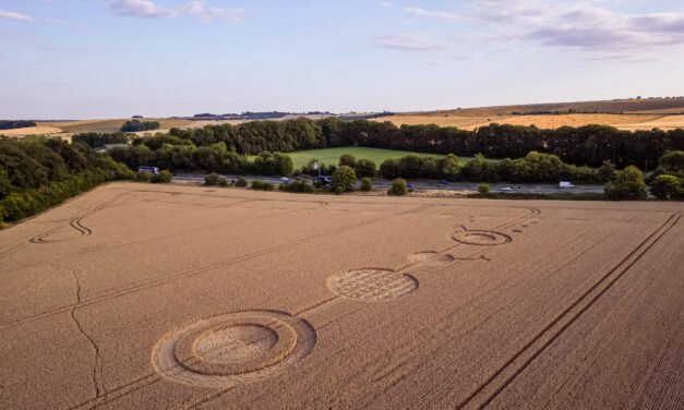 2026 Circles: Wanborough Plain, Foxhill, nr Swindon, Wiltshire