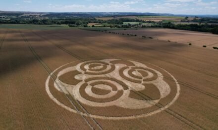 2026 Circles: Etchilhampton, nr Devizes, Wiltshire