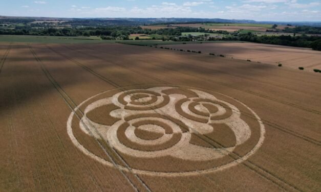 2026 Circles: Etchilhampton, nr Devizes, Wiltshire